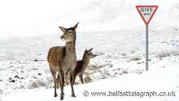 In Pictures: Storm Bella brings snow and floods