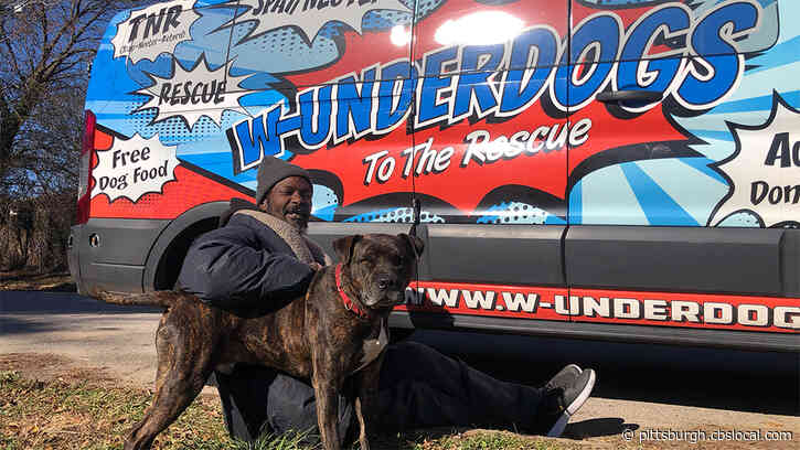 Homeless Man Rescues All Animals At A Shelter After It Caught On Fire