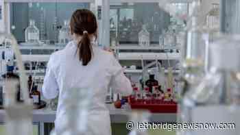 COVID variant found in Ontario, officials keeping watchful eye - Lethbridge News Now