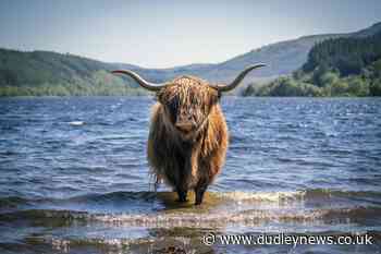In Pictures: The best images from Scotland in 2020 - Dudley News