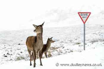 In Pictures: Storm Bella brings snow and floods - Dudley News