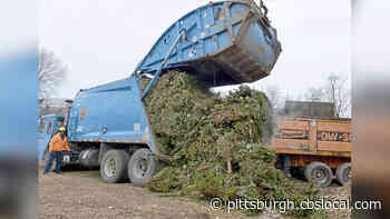 City Of Monessen To Hold Christmas Tree Recycling Program