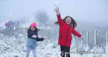 Families enjoy snowy stroll on Divis Mountain - Belfast Live