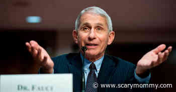 ‘Fauci Effect’ Credited For Surge In Medical School Applications This Year - Scary Mommy