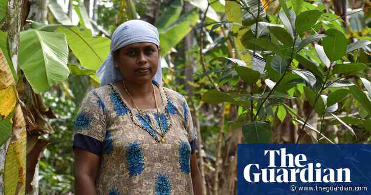 How a 'tree mortgage' scheme could turn an Indian town carbon neutral