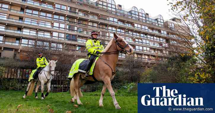 Call the cavalry! Horses ride to rescue of an inner city garden