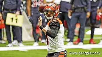 Allen Has Bengals Offense All Systems Go In Houston - Bengals.com