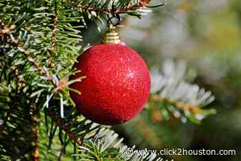 Where to recycle your Christmas tree in Houston after the holidays - KPRC Click2Houston