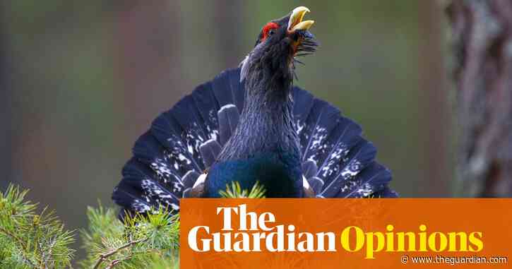 Lockdown awakened our interest in nature, but it mustn't be at the expense of wildlife | Isabella Tree