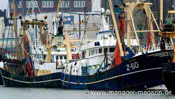 Brexit-Pakt zwischen EU und Großbritannien kann am 1. Januar in Kraft treten