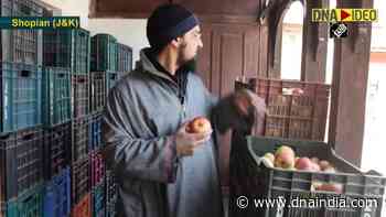 J&K entrepreneur transforms apple trading - DNA India