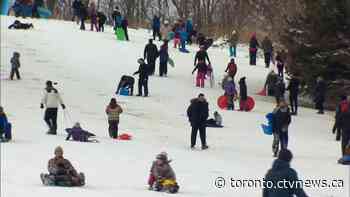 Security sent to observe toboggan hill in Mississauga, Ont. amid reports of crowding