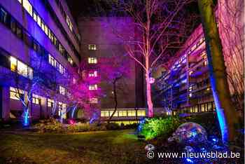 De Grote Schijn licht op in UZA (maar alleen patiënten en personeel zien dat)