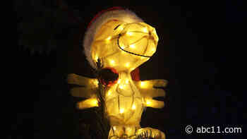 Charlie Brown Christmas Tree Grove in Windsor continues to brighten the holiday season