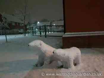 Your brilliant pictures of snow in Warrington - Warrington Guardian