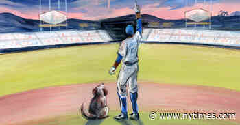 In a Miserable Year, I Had the Dodgers and a Stray Dog