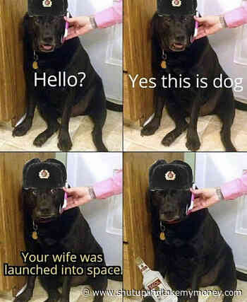Hello Yes This Is Dog Your Wife Was Launched Into Space – Meme