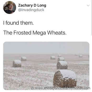 Frosted Mega Wheats – Meme