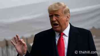 Trump faces looming decision on extending visa suspension