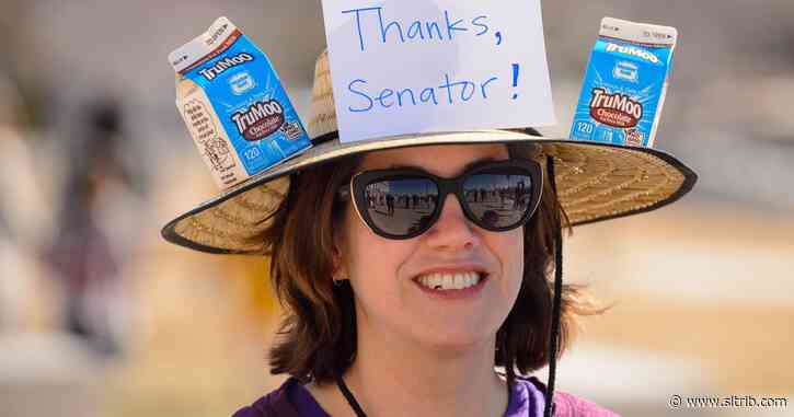 These are The Salt Lake Tribune’s ‘most Utah’ stories of 2020