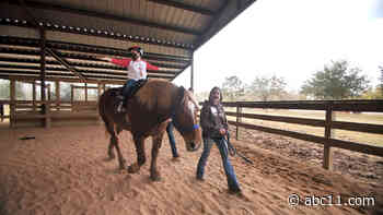 Horse therapy changing lives at SoléAna Stables