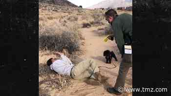 Native American Man Tased by Park Ranger After Walking Off Trail