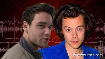 Liam Payne Says Harry Styles Looked Great in a Dress for Vogue Photoshoot