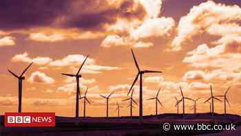 Green body gives verdict on Boris Johnson carbon-cutting policies