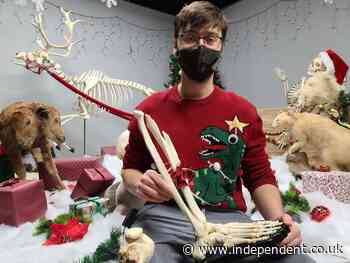 Canadian man receives his severed leg taxidermied in time for Christmas