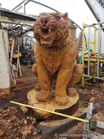 'New tiger' approved for Victoria Park - St Helens Star