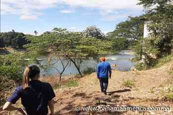 Arrojan pollos muertos al río Cacao en Macaracas, provincia de Los Santos - Panamá América