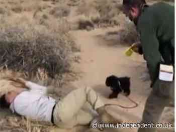 Native American man ‘tasered by park ranger’ after stepping off a trail in New Mexico