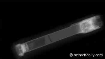 A Martian Roundtrip: NASA’s Mars Perseverance Rover Sample Tubes