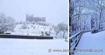 Dudley Zoo closed due to heavy snowfall - Birmingham Live