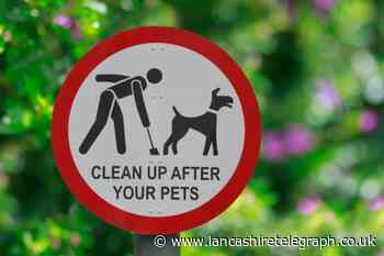 Letter: This infernal dog poo problem just won't go away