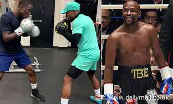 Floyd Mayweather trains Richardson Hitchins ahead of Logan Paul fight - Daily Mail