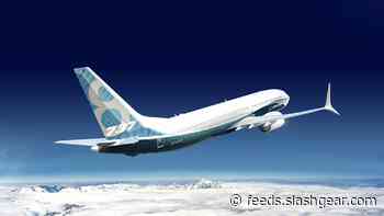 Boeing 737 MAX nails first passenger flight in US after long ban