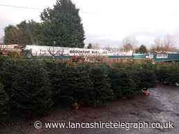 Brookside Nurseries: Overnight fire at garden centre