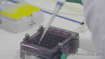 Colorado reports first US case of COVID-19 variant initially found in UK - KHOU.com