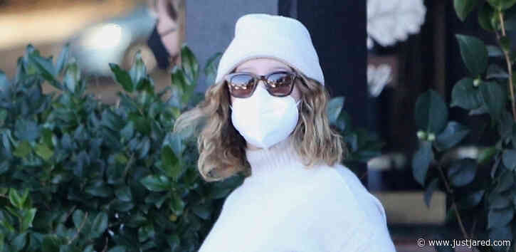 Pregnant Ashley Tisdale Takes Her Dogs with Her While Out Shopping