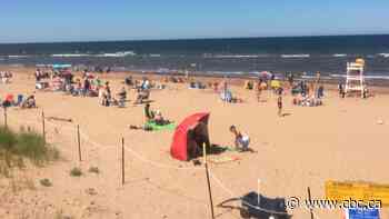 On the beach: Changes in weather patterns affect creatures big and small