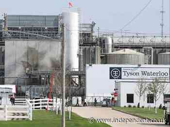 Tyson manager fired for betting on employee Covid tests defends actions as ‘morale boost’