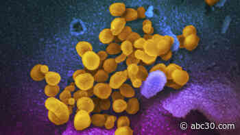 Colorado governor gives update on 1st reported US case of coronavirus variant | WATCH LIVE