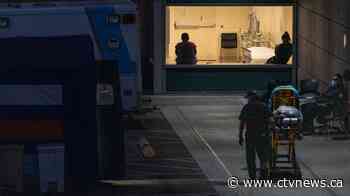 'This is a viral tsunami': U.S. hits record for daily COVID-19 deaths