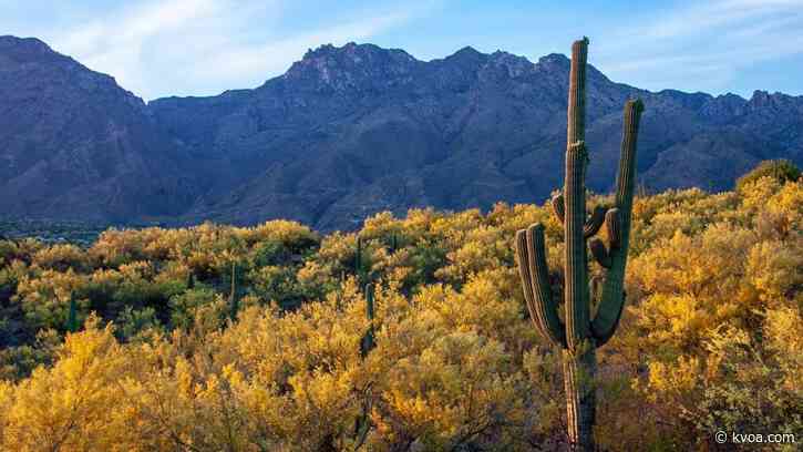 Sunny skies and dry air will continue into the new year