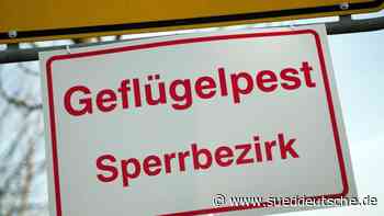 Sachsen verschärft Maßnahmen gegen Geflügelpest - Süddeutsche Zeitung