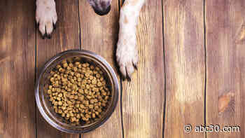Sportmix dog food, cat food recalled for potentially fatal levels of aflatoxin after 28 dogs die
