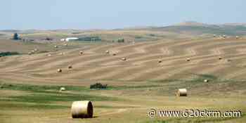 Saskatoon company fined 70 thousand dollars for workplace fatality - 620 CKRM.com