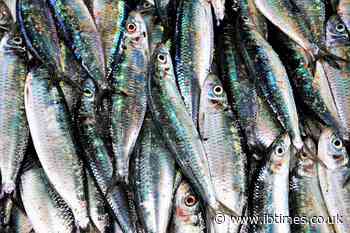 Parosmia: Many coronavirus long-haulers stuck with strange, fishy smell