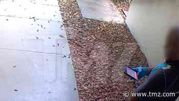 Amazon Delivery Driver Caught on Video Peeing in Front of Door